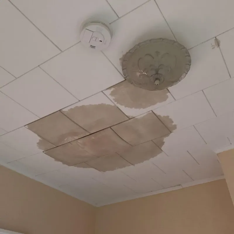 Ceiling Water Damage Repair in Collinwood, OH