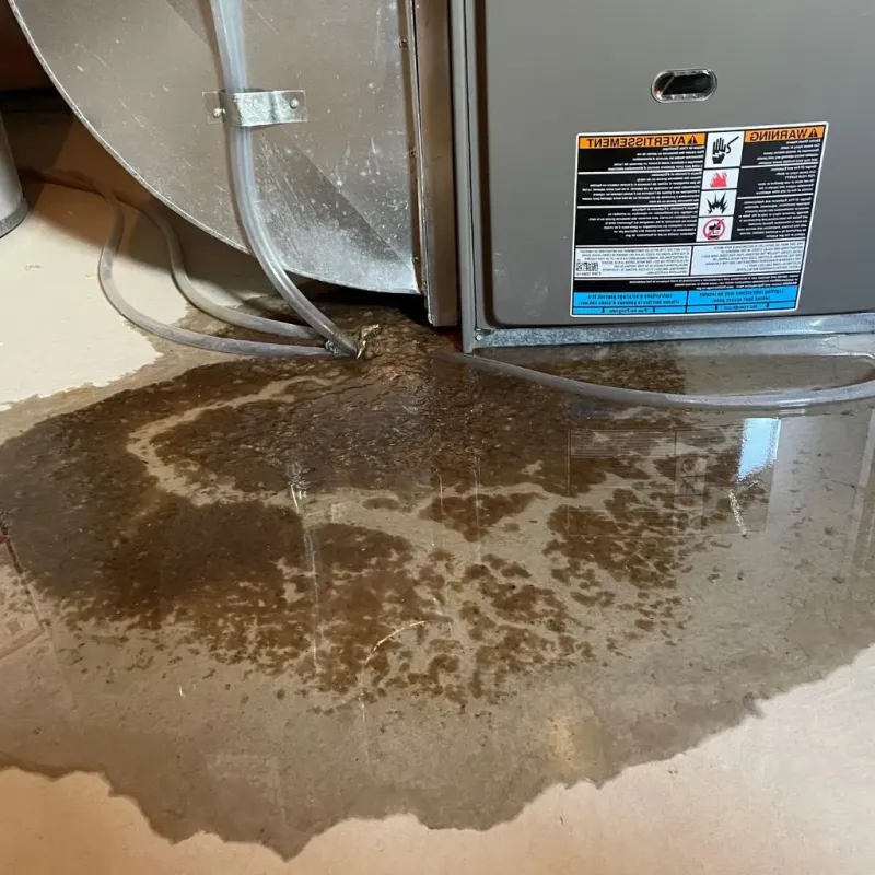 Pipe Burst and Leak Restoration in Collinwood, OH