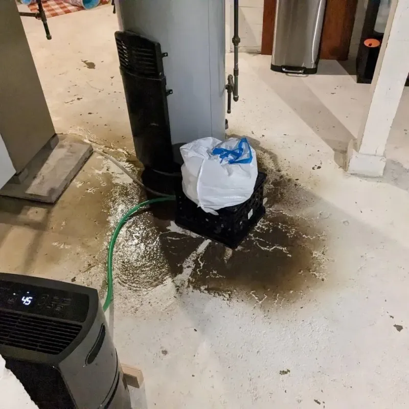 Sewage Backup Cleanup Service in Collinwood, OH